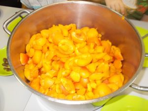DSCN3871